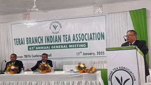 Tea Planters Raise Alarm Over Quality of Nepal Tea, Call for Stricter Import Controls