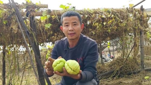 Farmers of Lamagaon Inspire Youths to Engage in Agriculture
