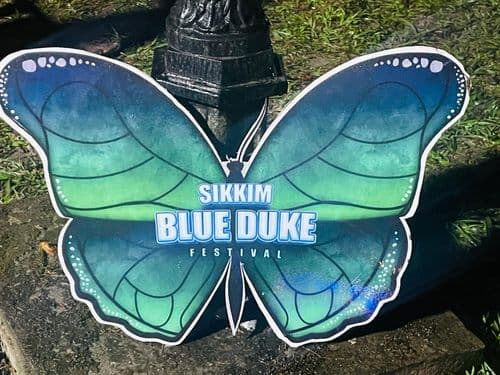 The Blue Duke: Sikkim’s Regal Butterfly and Conservation Symbol