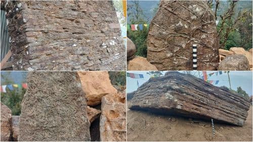 Discovery of a Possible Megalithic Site in West Sikkim